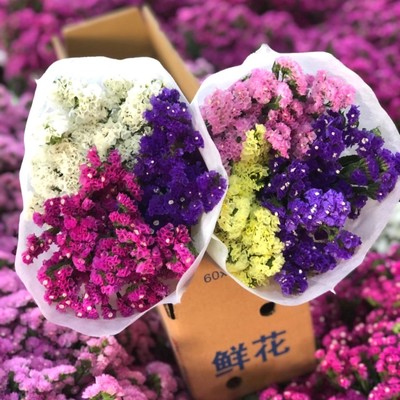 云南勿忘我滿天星干花花束 永恒之美，裝點生活